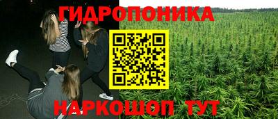 Альфа ПВП Можайск