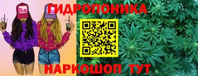 Альфа ПВП Можайск