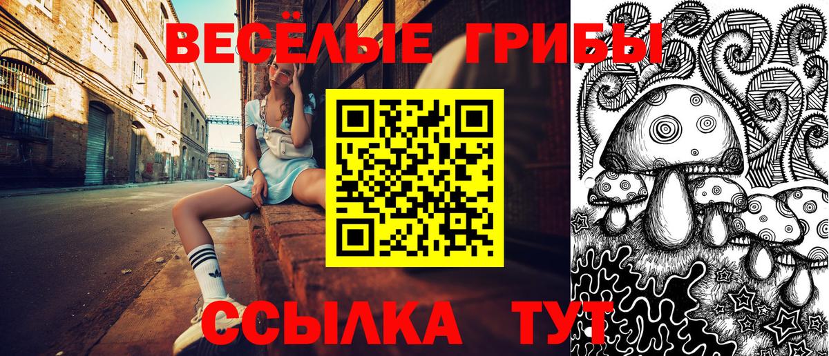 Галлюциногенные грибы мицелий  купить  цена  Ялуторовск  Вход с VPN 